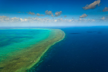 picture of Great Barrier Reef in Cairns